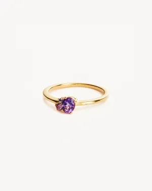 18k Gold Vermeil Kindred Birthstone Ring - February