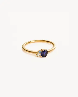 18k Gold Vermeil Kindred Birthstone Ring - September