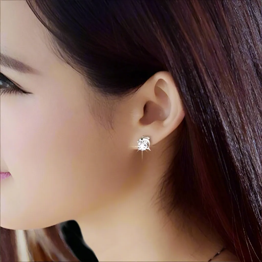 Jumping Dolphin Cz Stud Earrings for Women and Teen Any Occasion