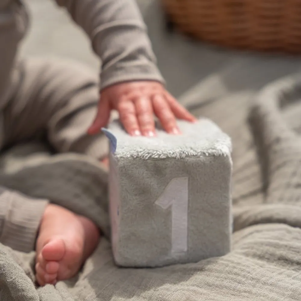 Little Dutch Set of Four Cubes - Little Farm